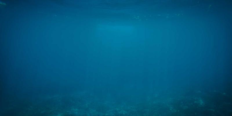 51咖啡知识：探索全球小众咖啡产地，从也门摩卡到云南普洱的风土密码