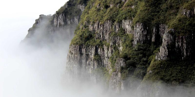 51咖啡研发秘籍：如何用手冲咖啡与季节食材打造爆款饮品