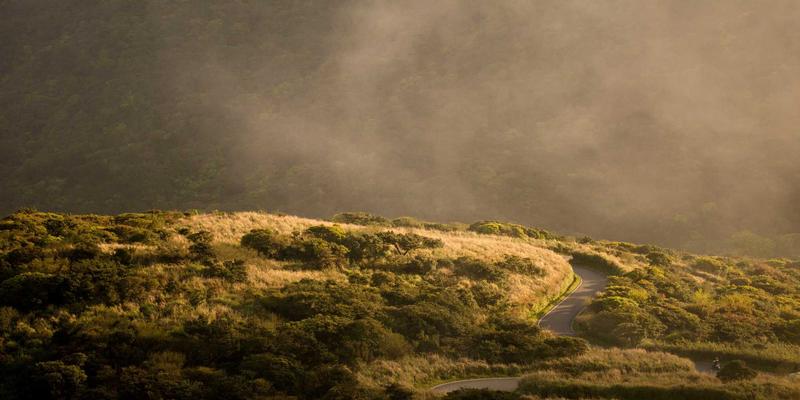 51咖啡空间设计美学：从咖啡豆到第三空间的心理学营造法则