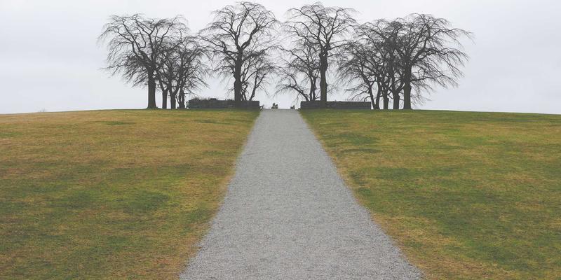 从51咖啡到专业器具：开启你的精品咖啡探索之旅