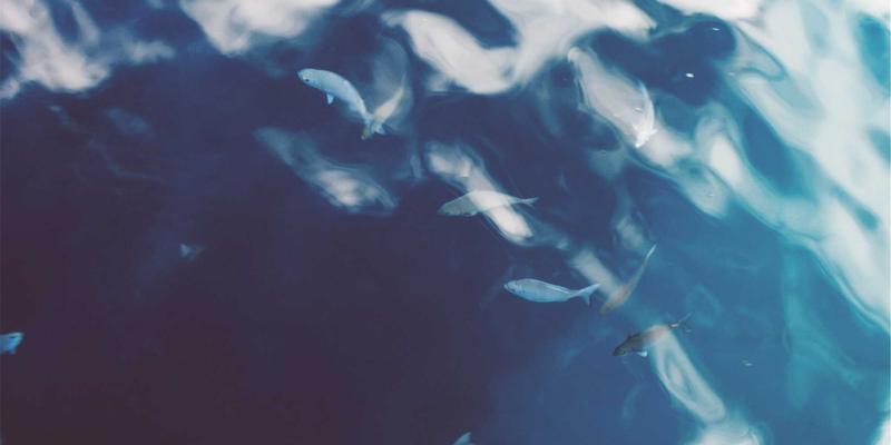 从51咖啡到精品手冲：探索咖啡豆的无限风味可能