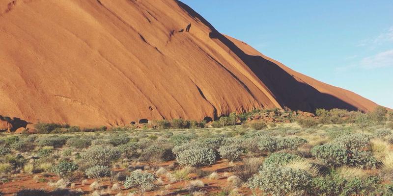 从入门到精通：在家制作专业级手冲咖啡的完整指南