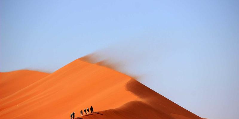 从咖啡豆到51咖啡：探索咖啡89背后的品质密码