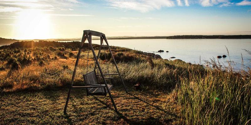 从咖啡豆到心灵良伴：手冲咖啡如何双向调节情绪与认知功能
