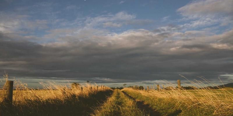 从手冲咖啡到51咖啡：探索精品咖啡的三大核心维度