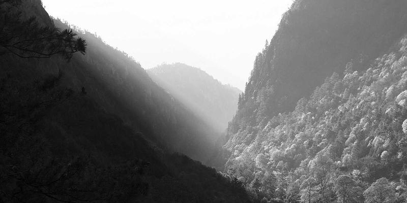 咖啡53：从精品咖啡豆到专业器具的完整指南，探索51咖啡的独特魅力