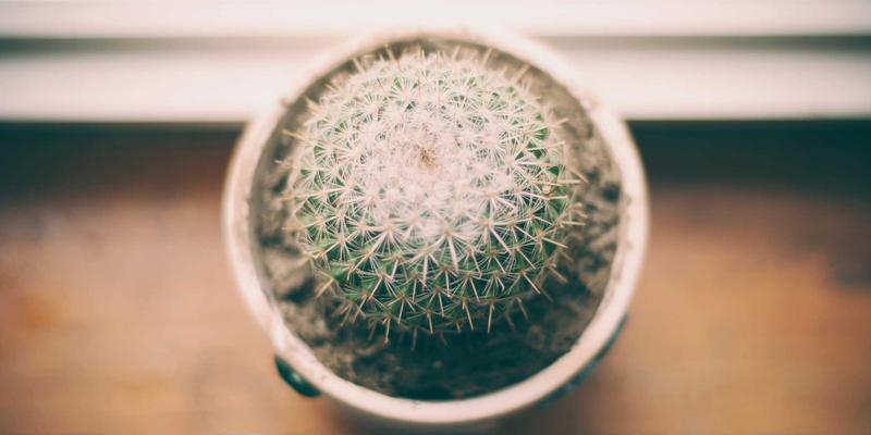 咖啡54：从豆到杯的深度探索，解锁咖啡世界的54个关键密码