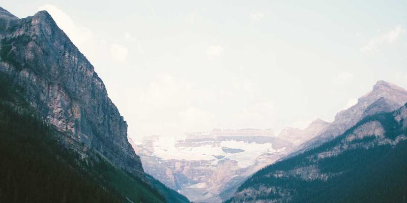 咖啡文化新篇章：20种咖啡渣创新再利用，从家居清洁到园艺护肤的可持续生活指南