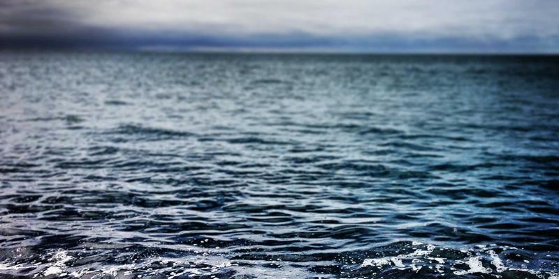 咖啡文化新视野：51咖啡带你探索咖啡豆对心血管、肝脏与大脑的惊人益处