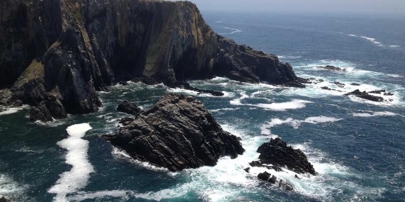 咖啡杯测师职业揭秘：如何通过专业训练成为风味品鉴专家