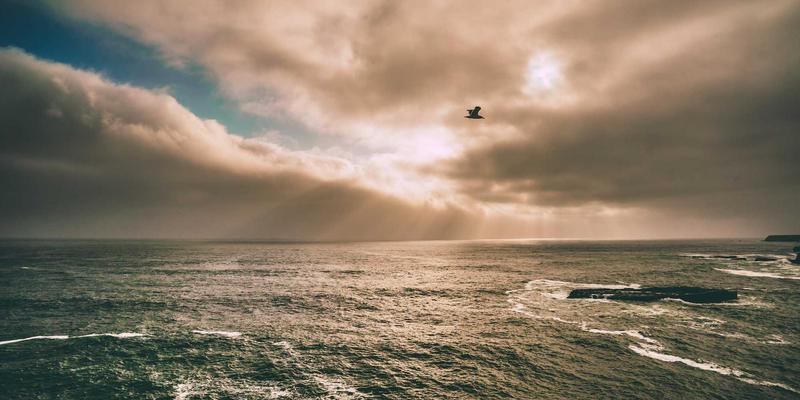 咖啡烘焙曲线揭秘：如何通过时间与温度控制塑造咖啡豆个性