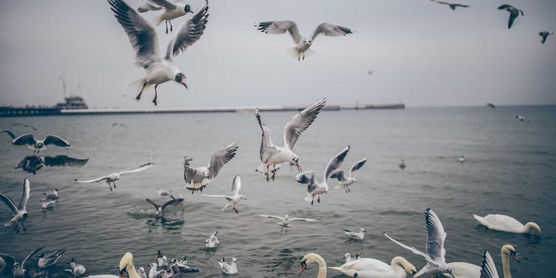 咖啡知识进阶：掌握研磨、布粉与压粉三大关键，解锁意式浓缩咖啡的完美Crema