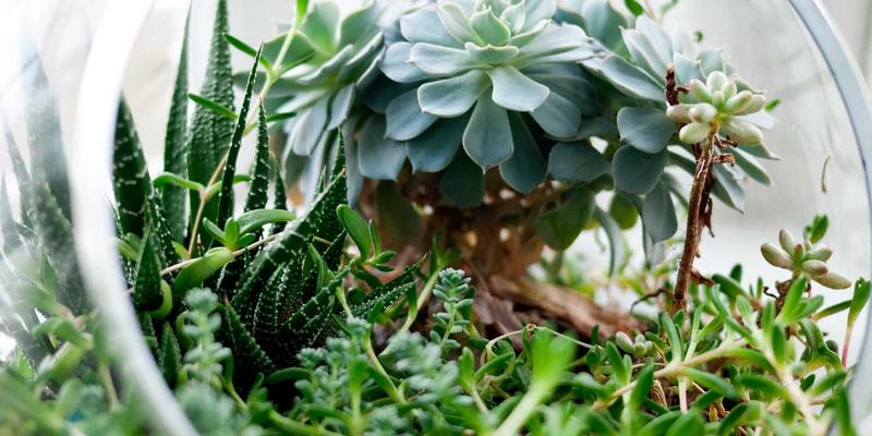 手冲咖啡完全指南：从咖啡豆选择到完美萃取的咖啡知识