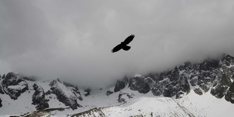 手冲咖啡爱好者的环保指南：咖啡渣从家庭堆肥到清洁妙用的创意实践