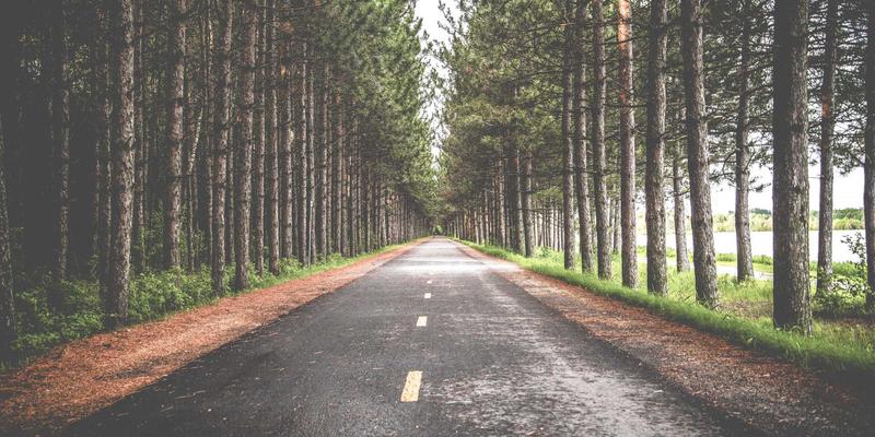 手冲咖啡的商业密码：从独立精品店到51咖啡连锁品牌的运营与盈利策略剖析